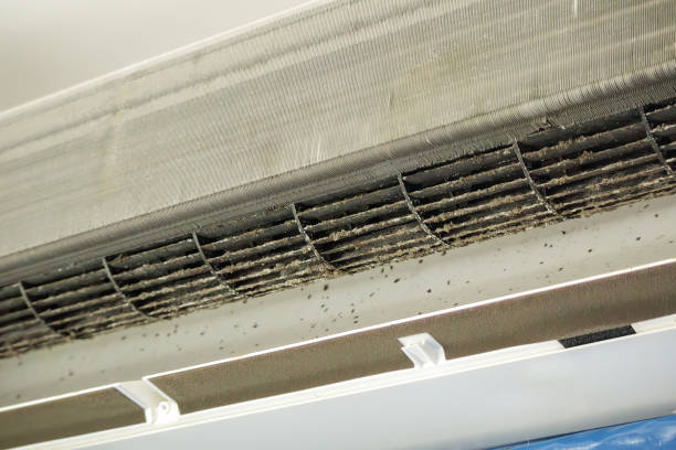 Best Local Air Duct Cleaning Services  in Harvey, MI